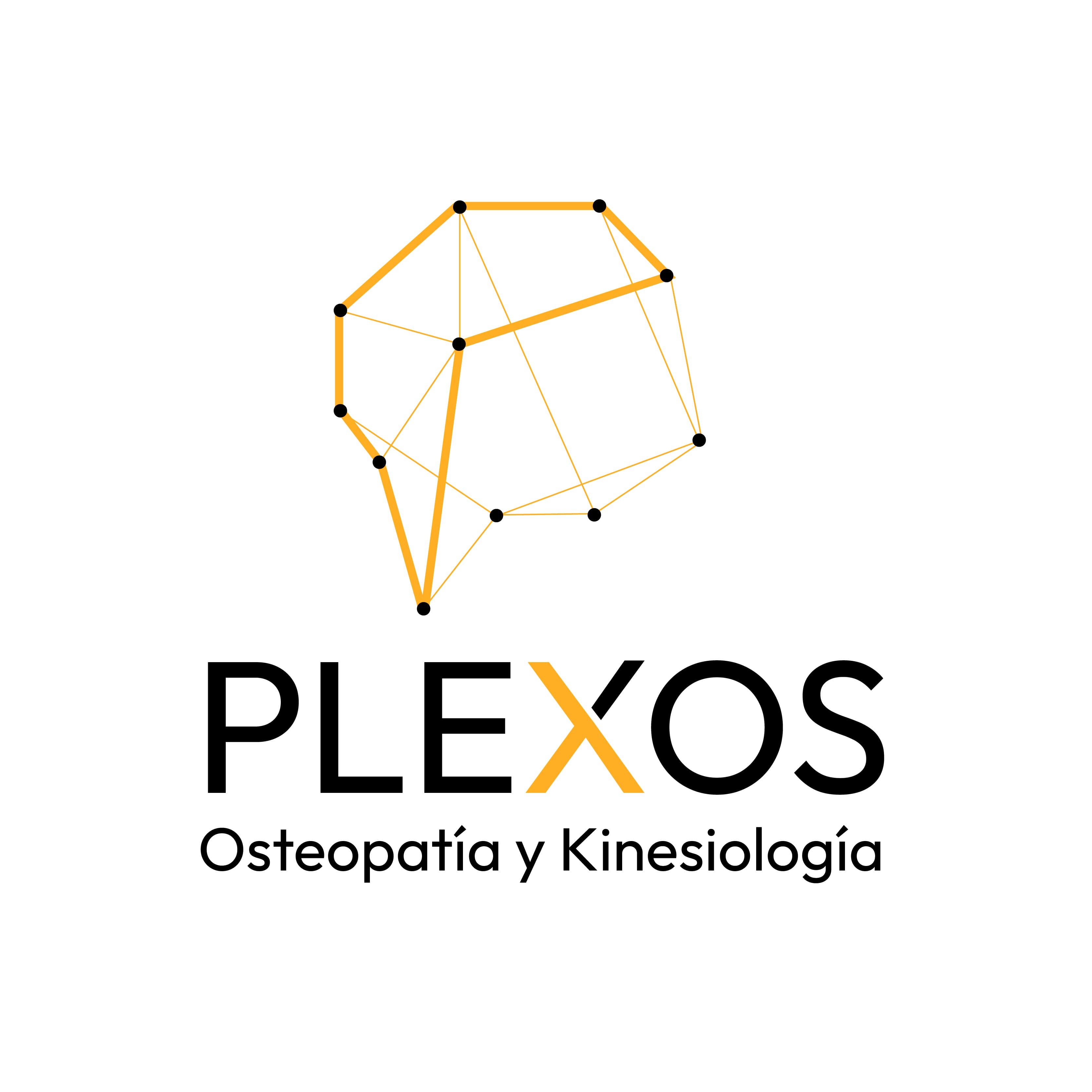 Foto de Plexos 