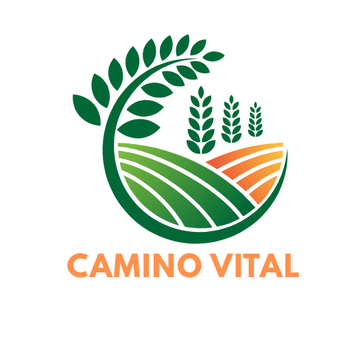 Foto de Camino Vital