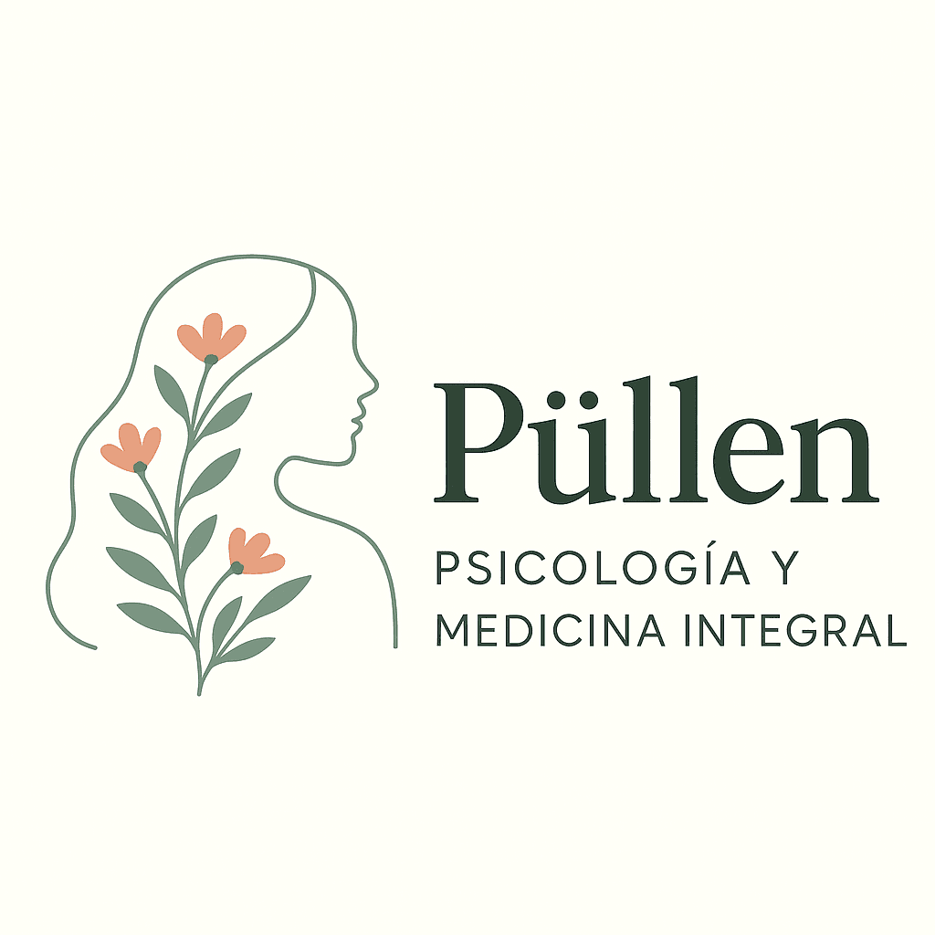 Foto de Centro de Salud Püllen