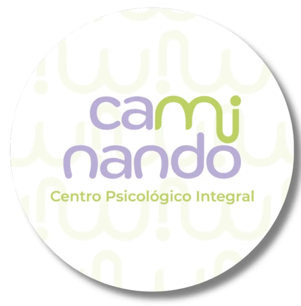 Foto de Caminando Centro Psicológico Integral
