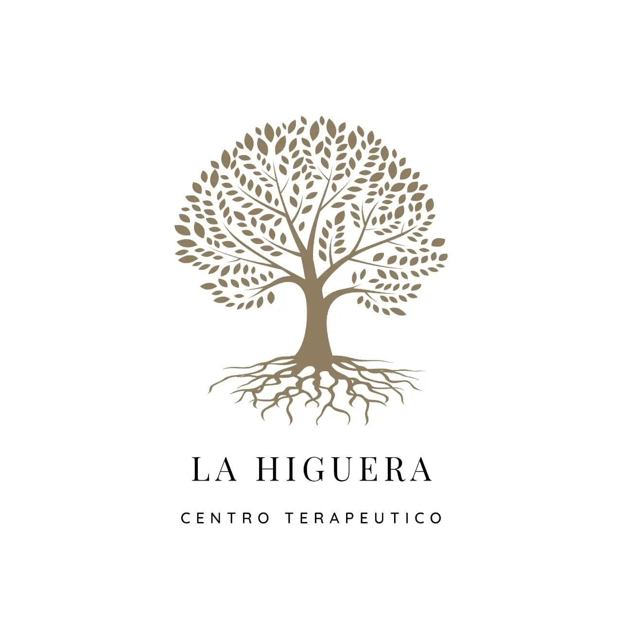 Foto de Centro La Higuera