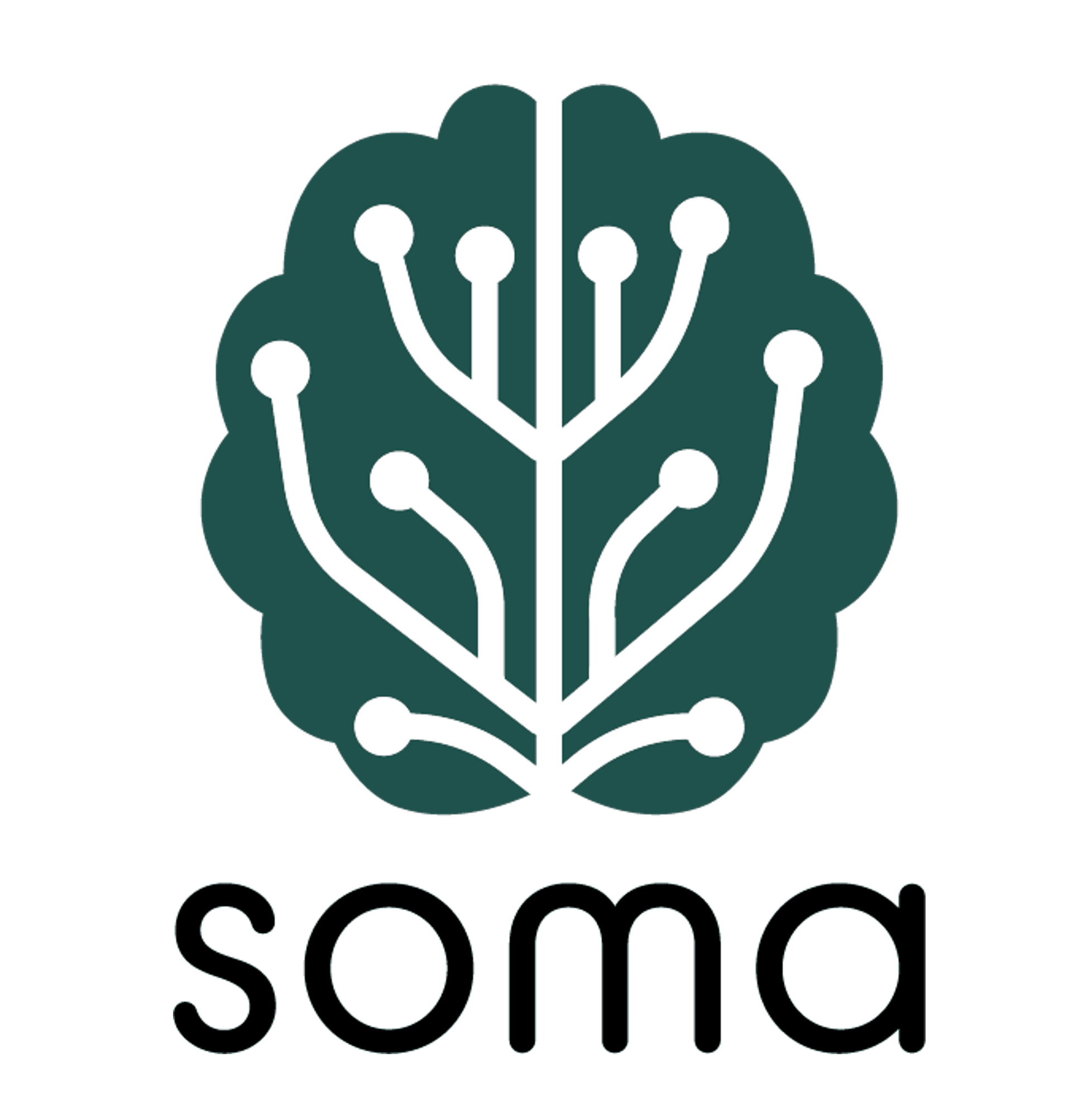 Foto de SOMA