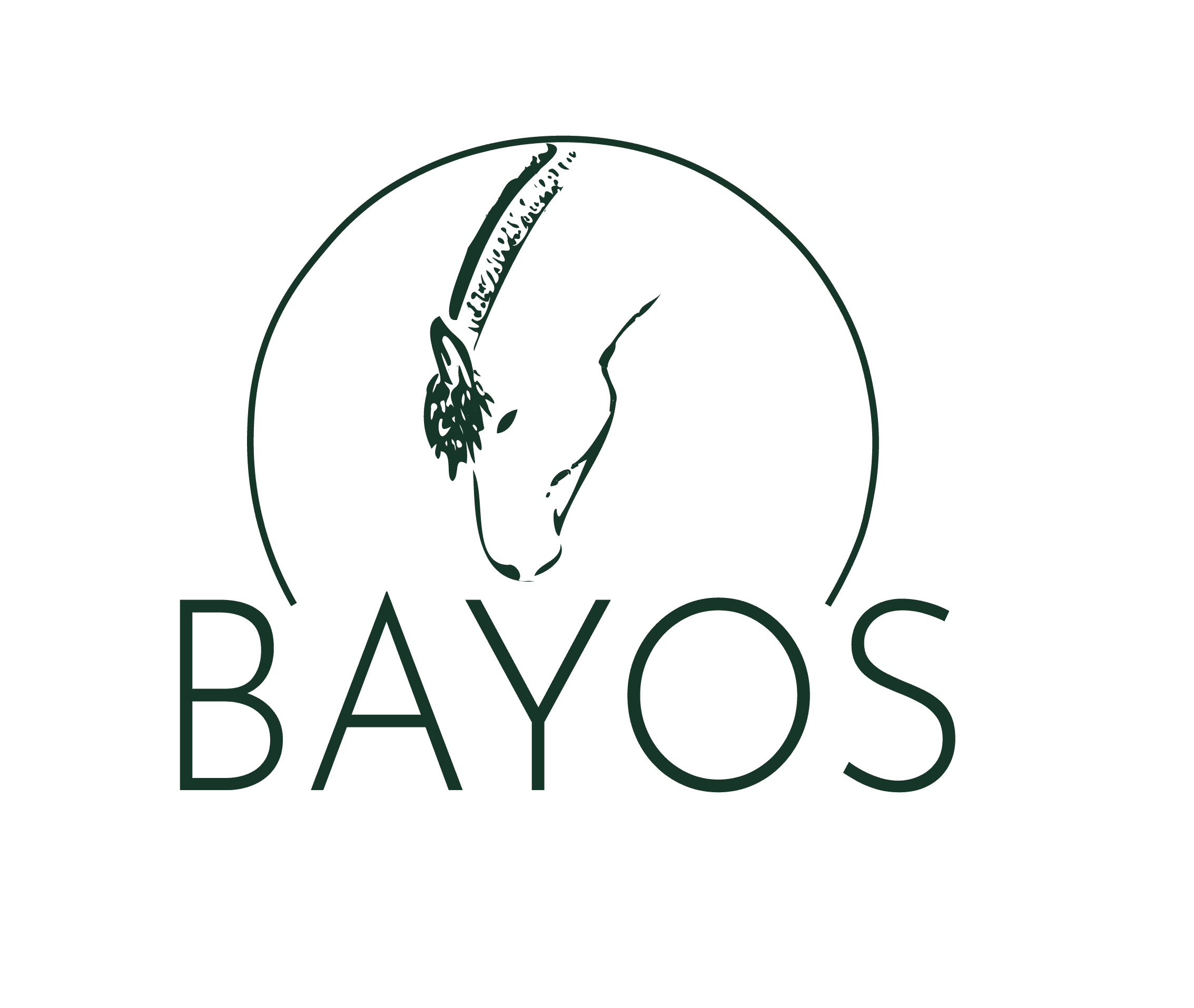 Foto de Fundación Bayos