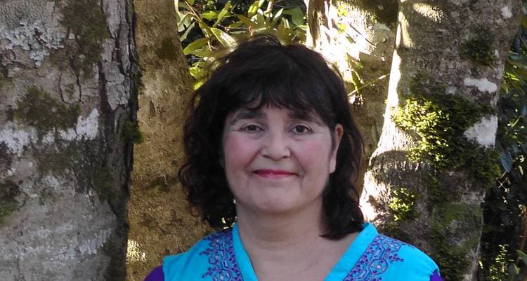 María Verónica Soto Medel - Terapeuta