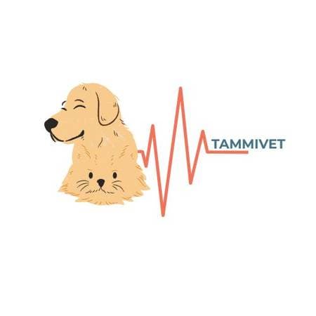 Tamara Vojkovic Calderón - Medico Veterinaria internista