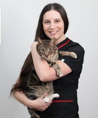 Consuelo Serrano Gonzalez - Médico Veterinaria -Medicina Felina 