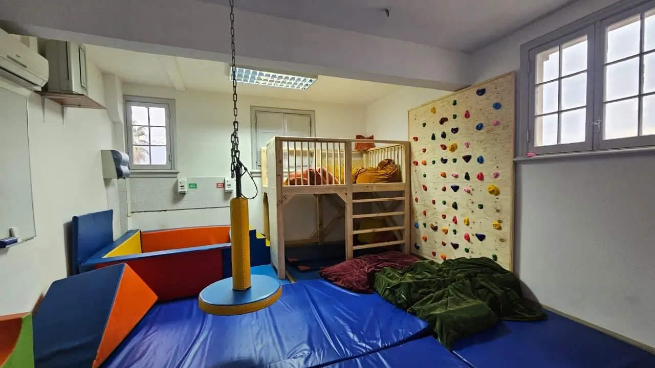 Sensoryland® by En Palabras Simples - Profesionales de la Salud