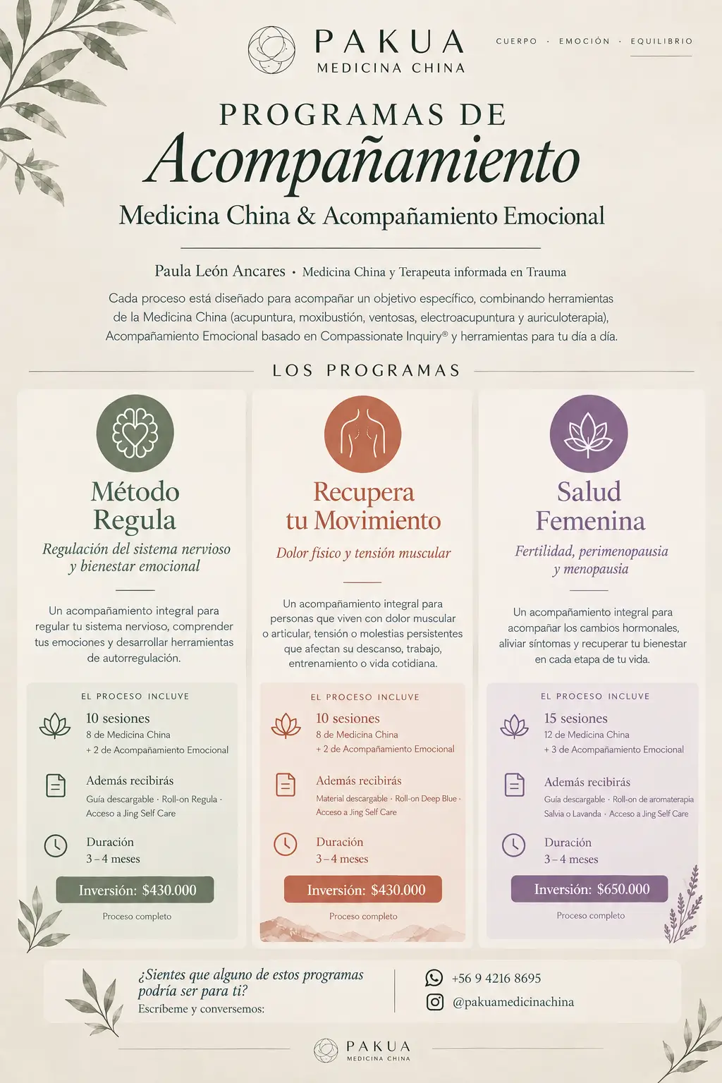Fichas de Programas de Acompañamiento